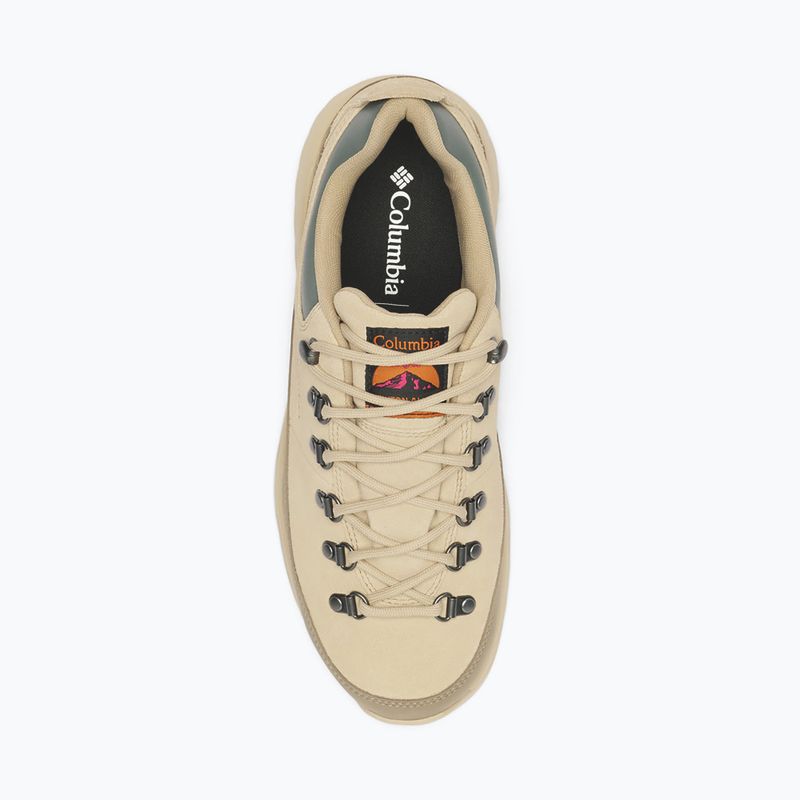 Pánské trekové boty Columbia Newton Alpine Low fossil/sedona sage 4