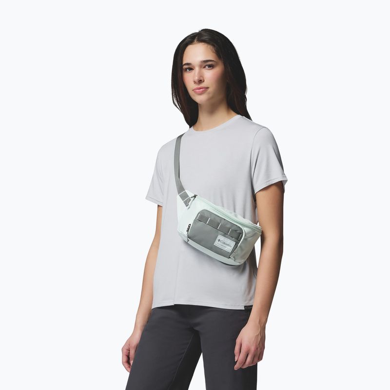 Ledvinka Columbia Zigzag II Hip Pack 1 l sedona sage/tea light 5
