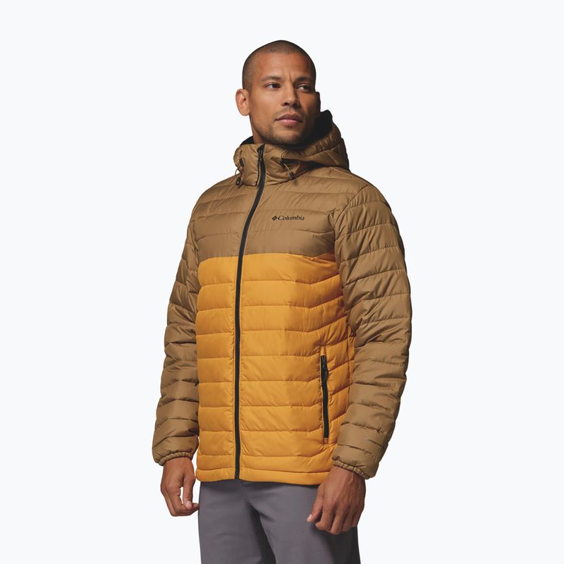 Kurtka męska Columbia Powder Lite II Hooded squash/delta 4