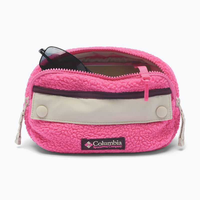 Ledvinka Columbia Helvetia II Hip Pack 1 l nico/dark stone 3