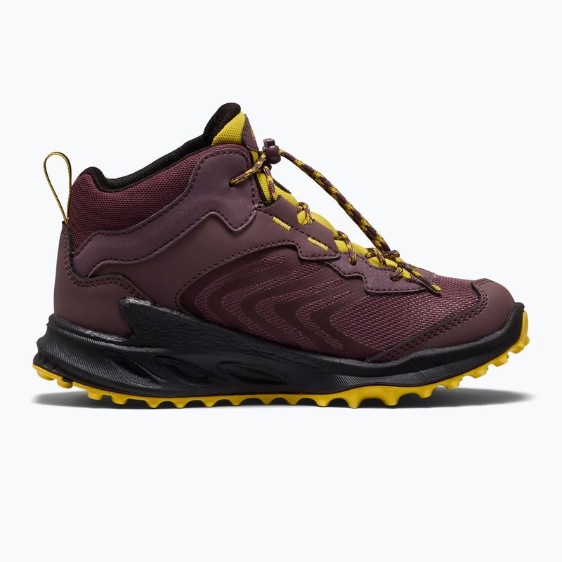 Dětské trekové boty KEEN Zionic Mid Wp huckleberry/mango mint 3