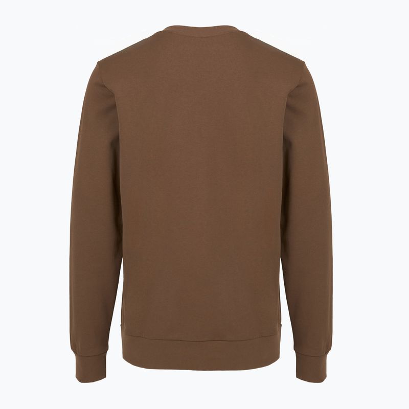 Pánská mikina Patagonia Daily Crew berm brown 2