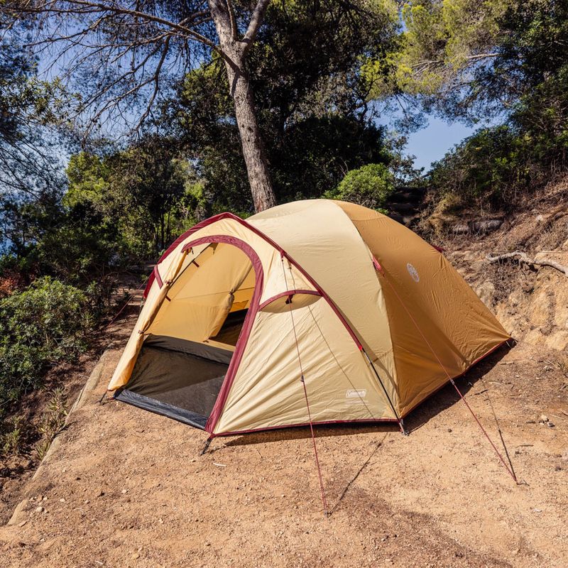 Kempingový stan pro 4 osoby Coleman Darwin Summer 4 + beige 8