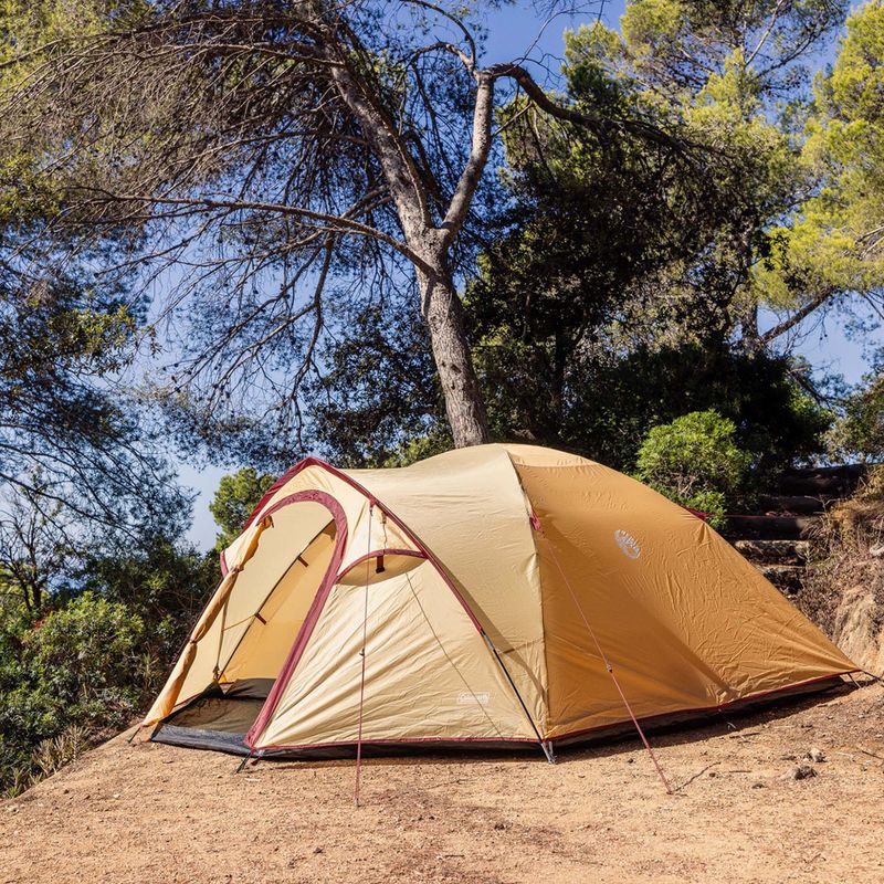 Kempingový stan pro 4 osoby Coleman Darwin Summer 4 + beige 9