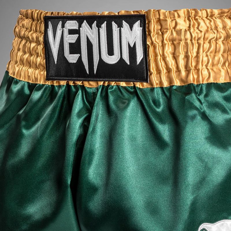 Pánské tréninkové šortky Venum Classic Muay Thai zelené/zlaté/bílé 6