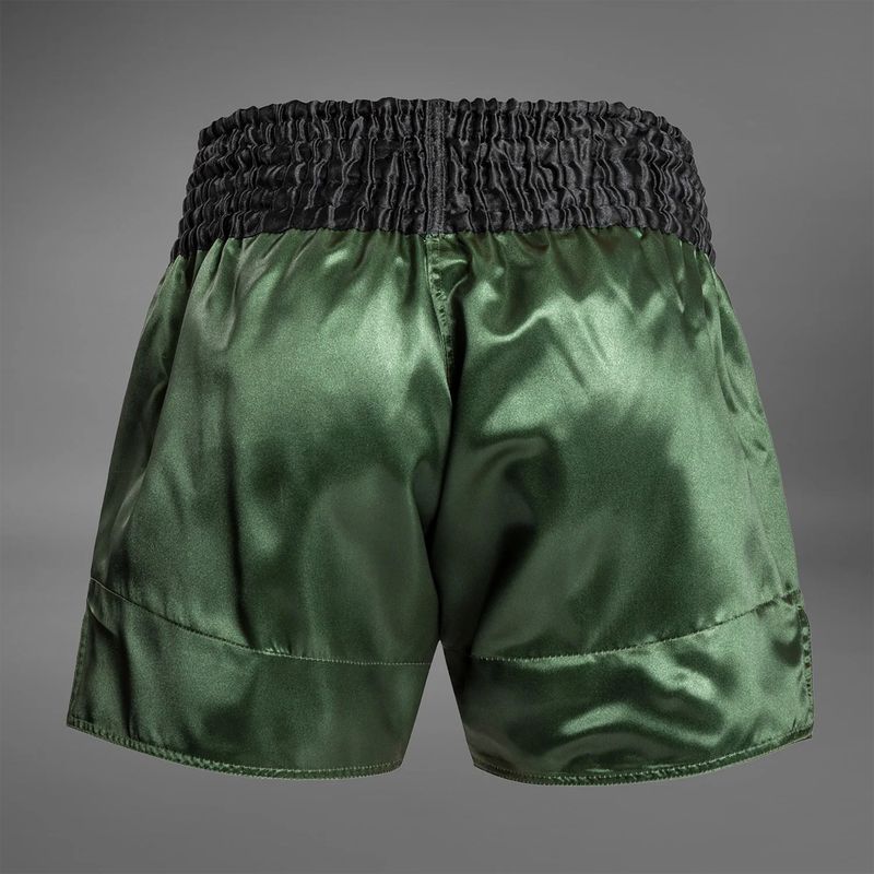 Pánské tréninkové šortky Venum Classic Muay Thai green/gold/black 2