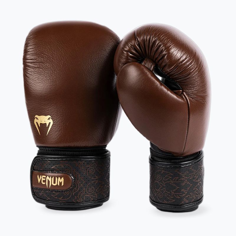 Boxerské rukavice Venum Power 2.0 chocolate brown 3