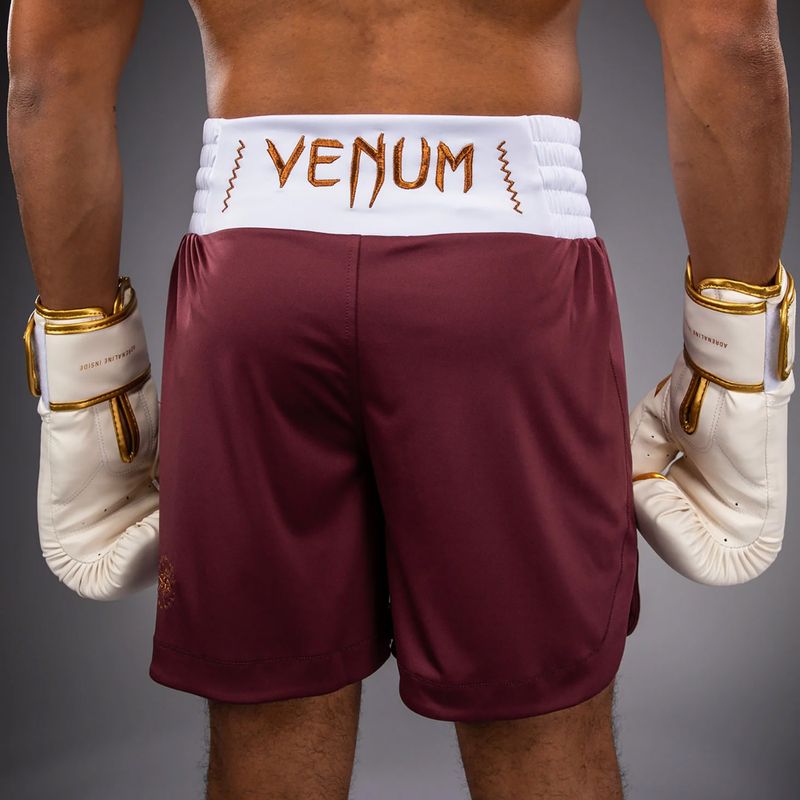 Pánské tréninkové šortky Venum Classic Boxing burgundy 6