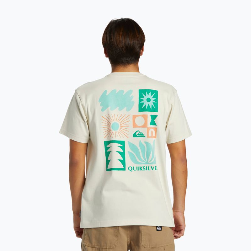 Quiksilver pánské tričko Natural Forms Mor silver birch 2