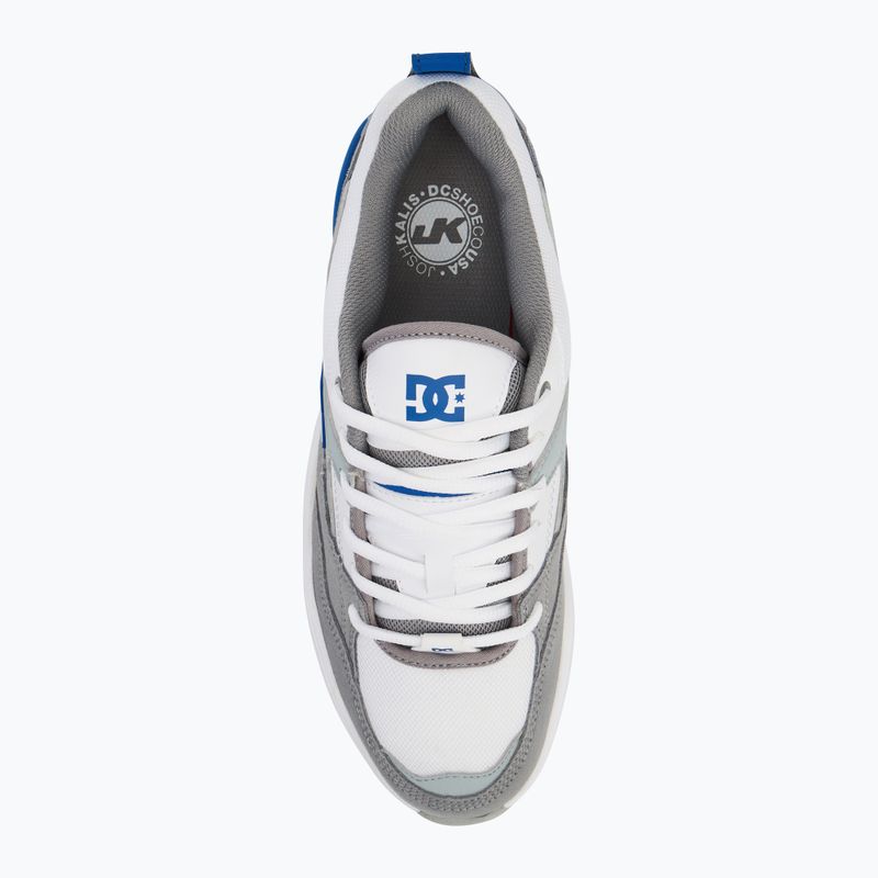 Pánské boty DC Ascend white / grey / blue 5
