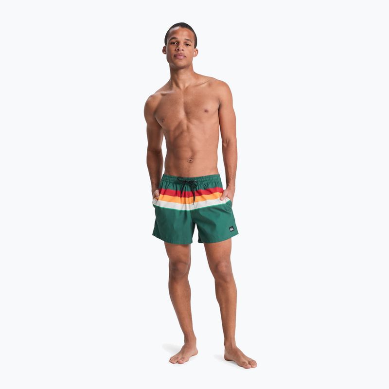 Pánské koupací šortky Quiksilver Everyday Printed Volley 15" forest outside stripe 4