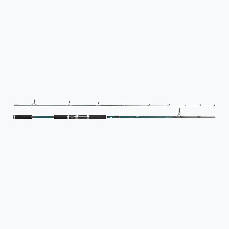 Prut Abu Garcia Beast X Pike 842 H