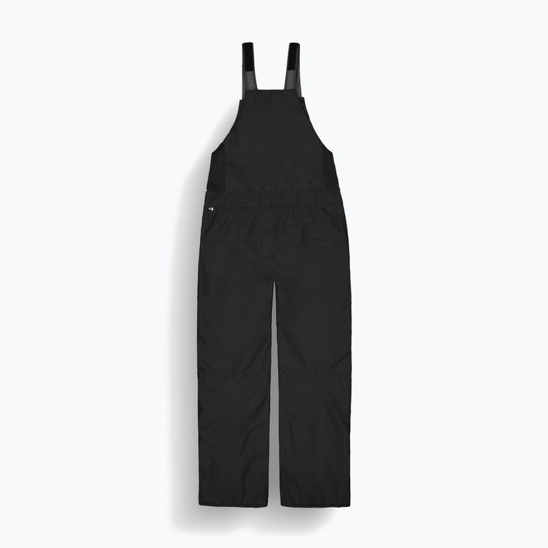 Pánské lyžařské kalhoty Picture Testy BIB black 8