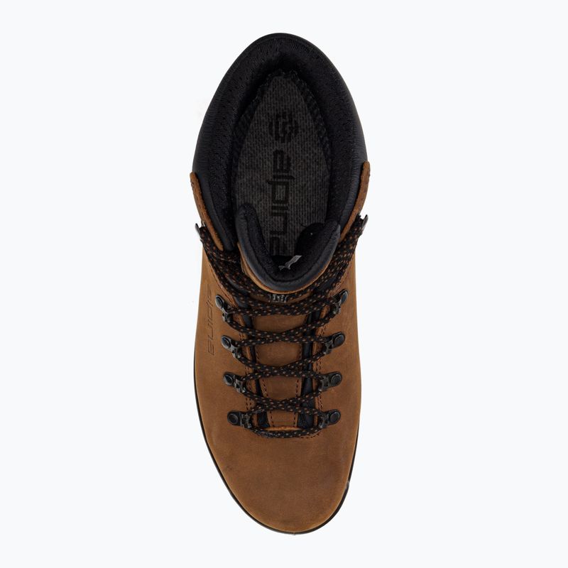 Pánské trekové boty Alpina Tundra brown 6