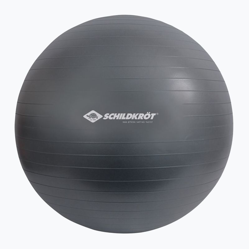 Gymnastický míč Schildkröt Gymnastic šedý 960157