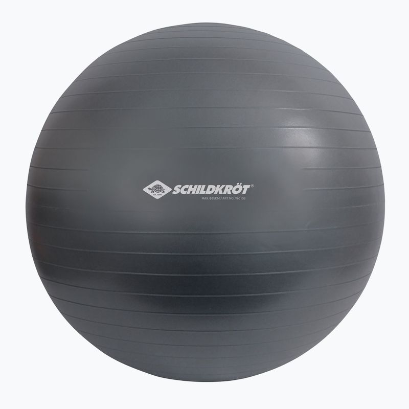 Gymnastický míč Schildkröt Gymnastic šedý 960158