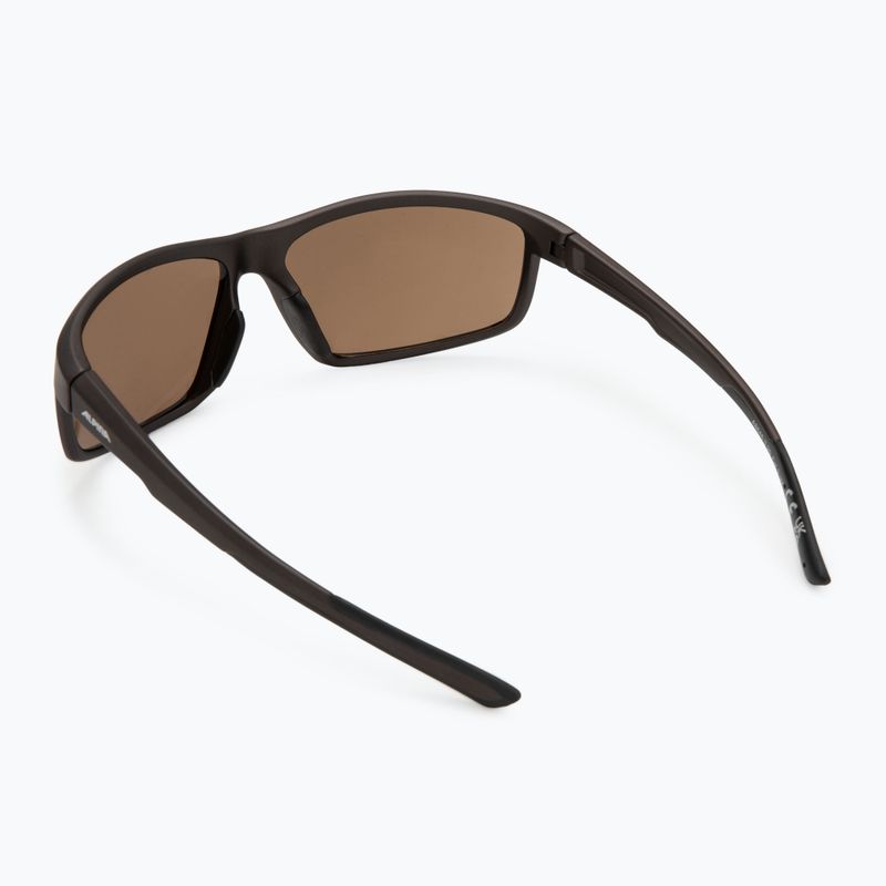 Sluneční brýle Alpina 2