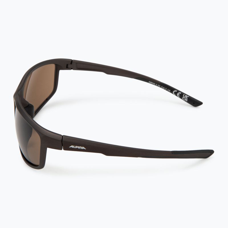 Sluneční brýle Alpina 4