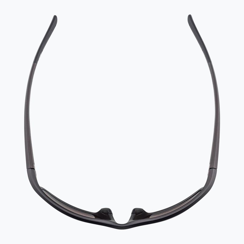 Sluneční brýle Alpina 5