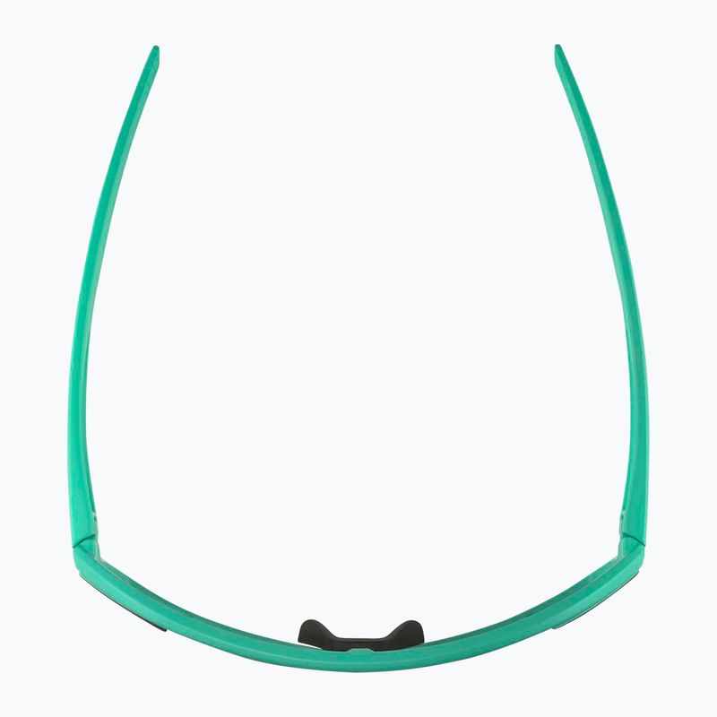 Sluneční brýle Alpina Bonfire turquoise matt/green 4