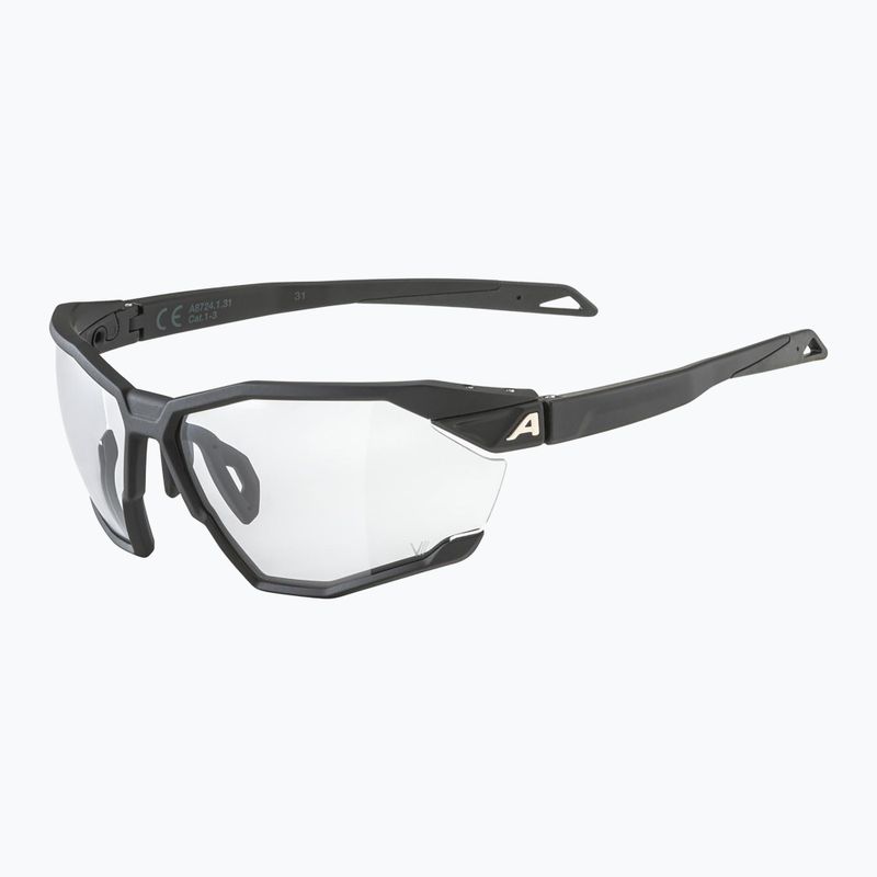 Sluneční brýle Alpina Twist Six V black matt/black 5