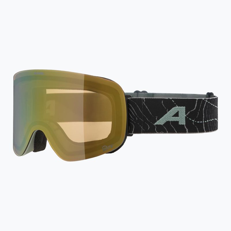 Lyžařské brýle  Alpina Penken Q-Lite willow/ green matt/ gold 5