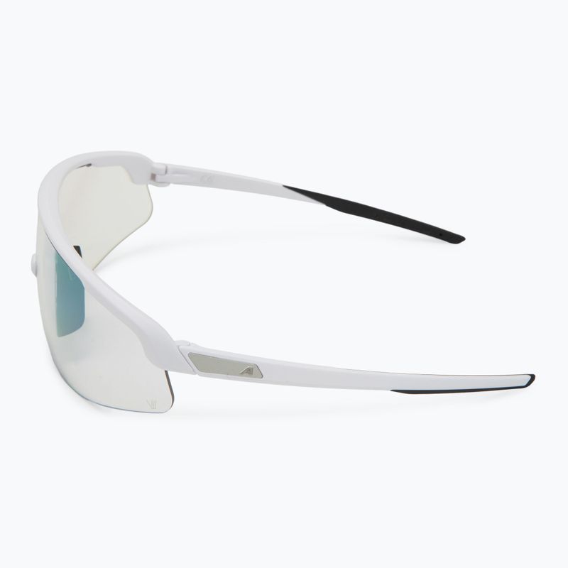 Sluneční brýle Alpina 4