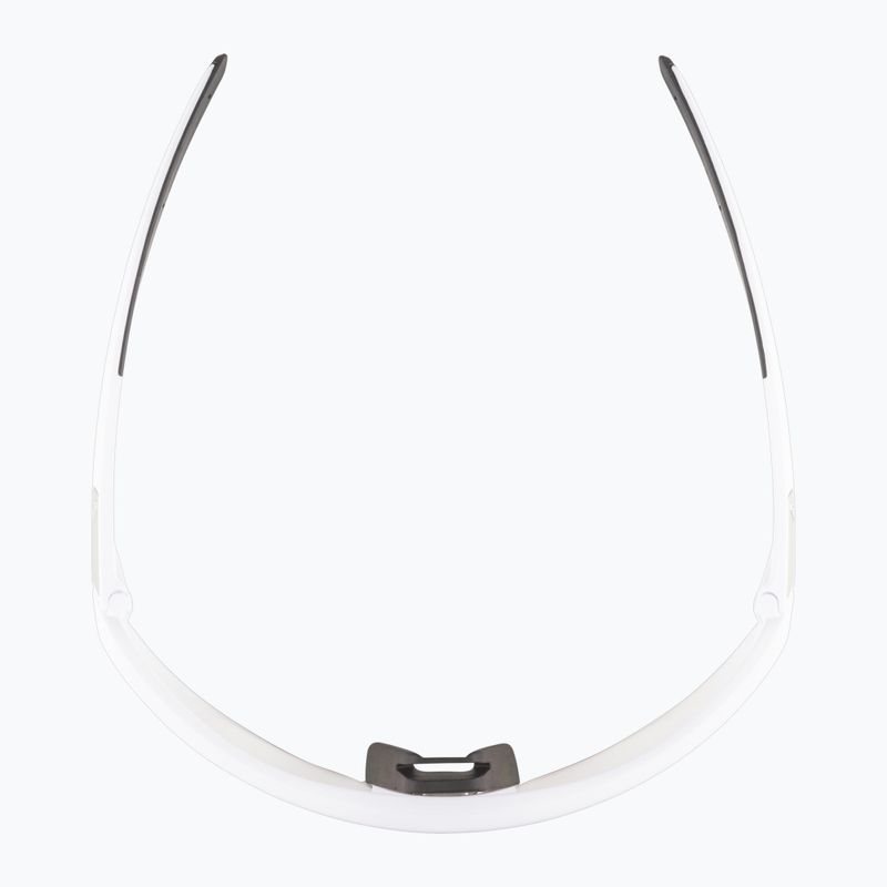 Sluneční brýle Alpina 6