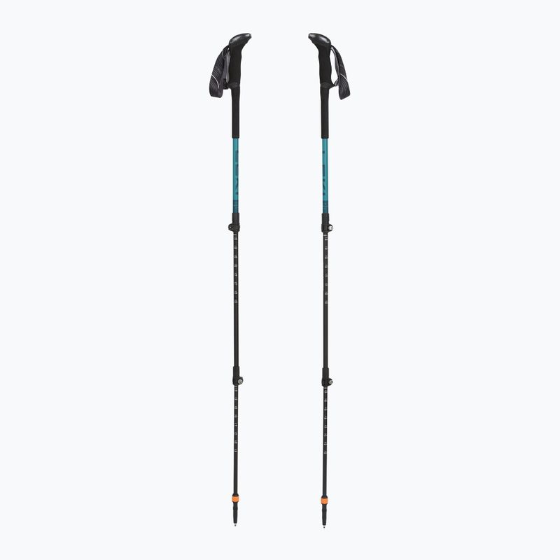 Trekové hole LEKI Makalu Lite AS greenblue light/greenblue dark