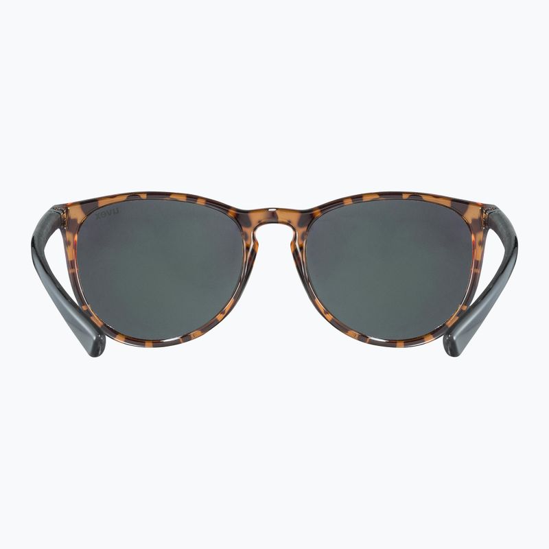 Sluneční brýle  UVEX Lgl 43 havanna black/mirror green 3