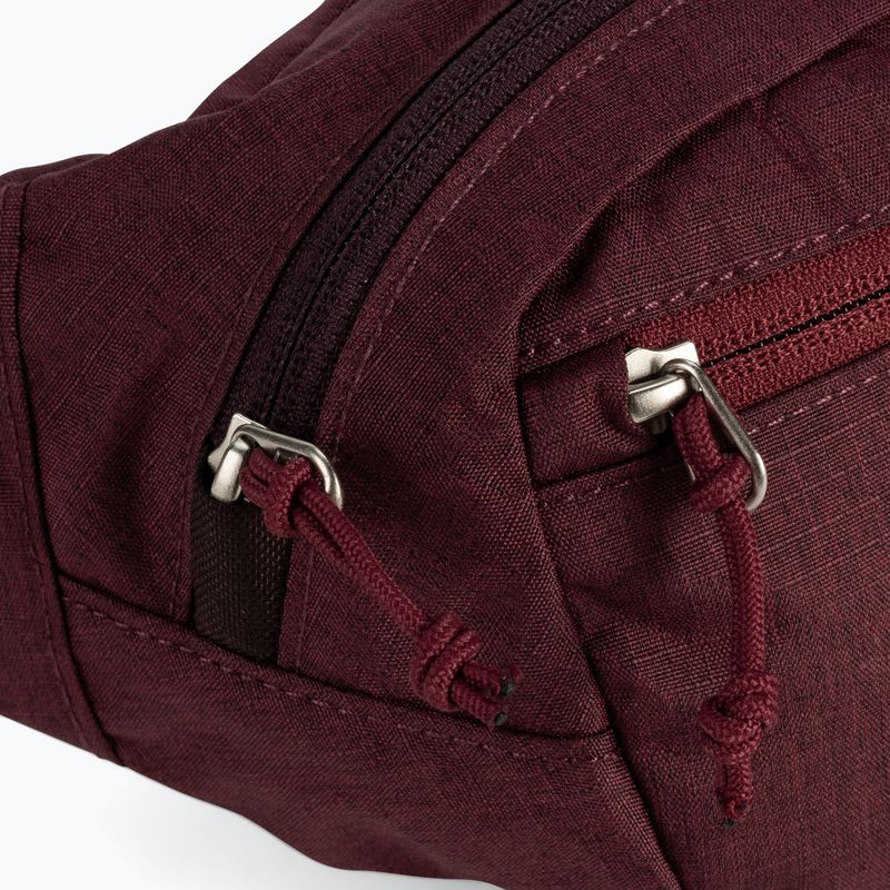 Ledvinka Deuter Belt I bordová 3900121 7