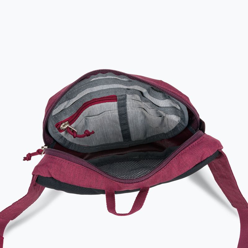 Ledvinka Deuter Organizér Belt červená 3900421 3