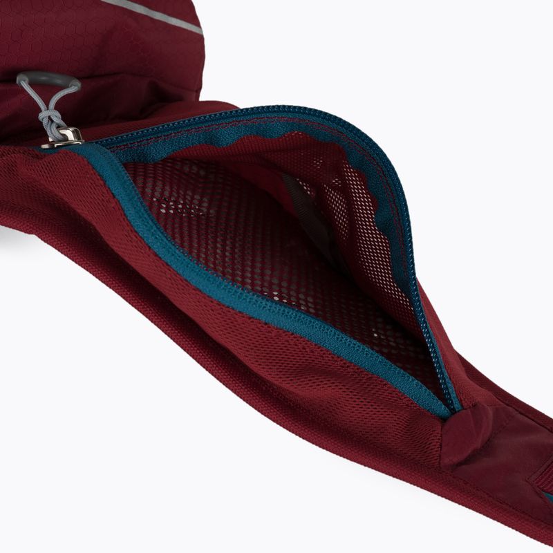 Ledvinka Deuter Pulse 1 červená 391012150000 4