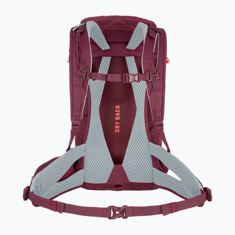 Salewa Alp Trainer 20 dámský trekový batoh fialový 00-0000001262 2