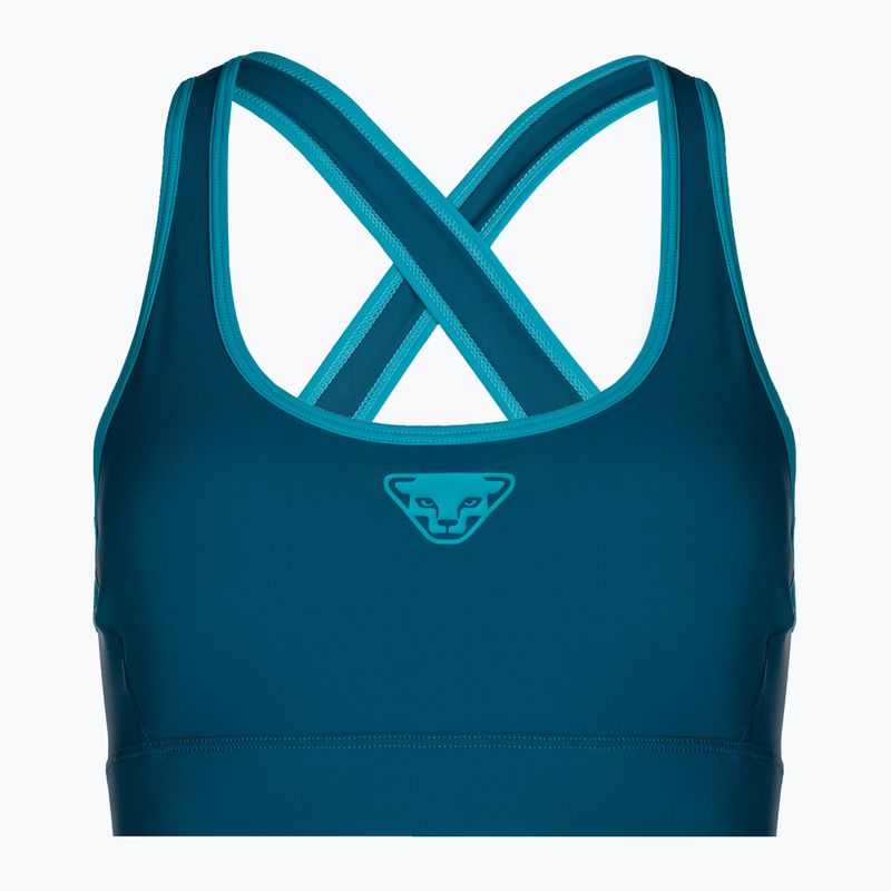 Běžecká podprsenka DYNAFIT Alpine blue 08-0000071478 3
