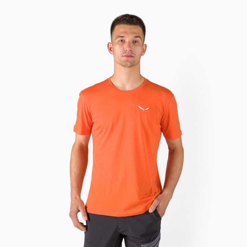 Pánské trekingové tričko Salewa Alpine Hemp Logo orange 00-0000028132