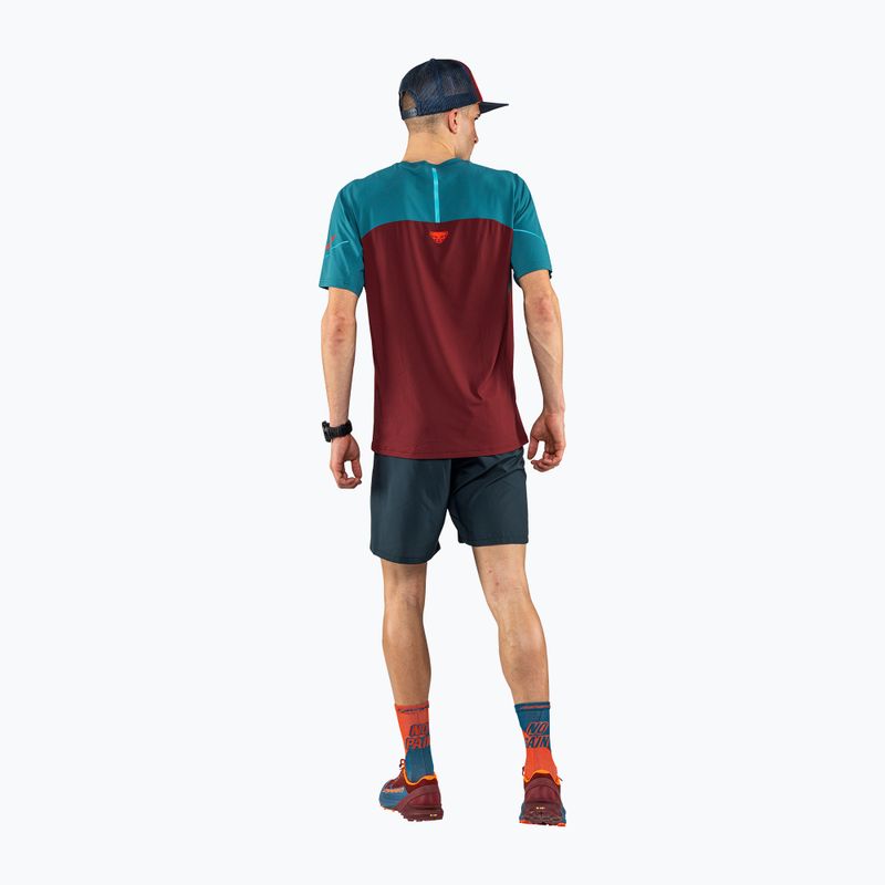 Pánské běžecké tričko DYNAFIT Alpine Pro maroon 08-0000070964 2