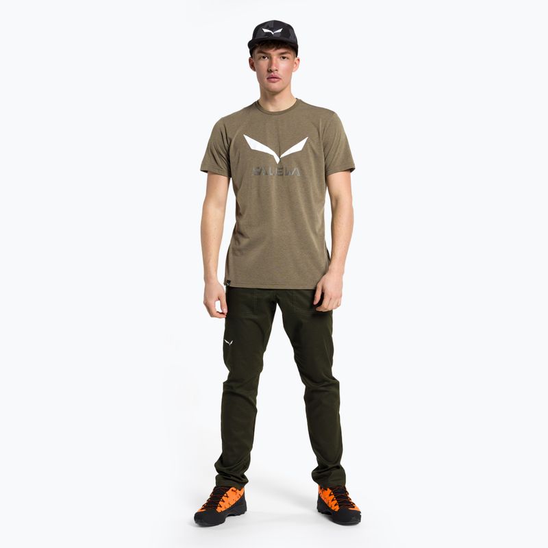 Pánské trekové tričko Salewa Solidlogo Dry khaki 00-0000027018 2