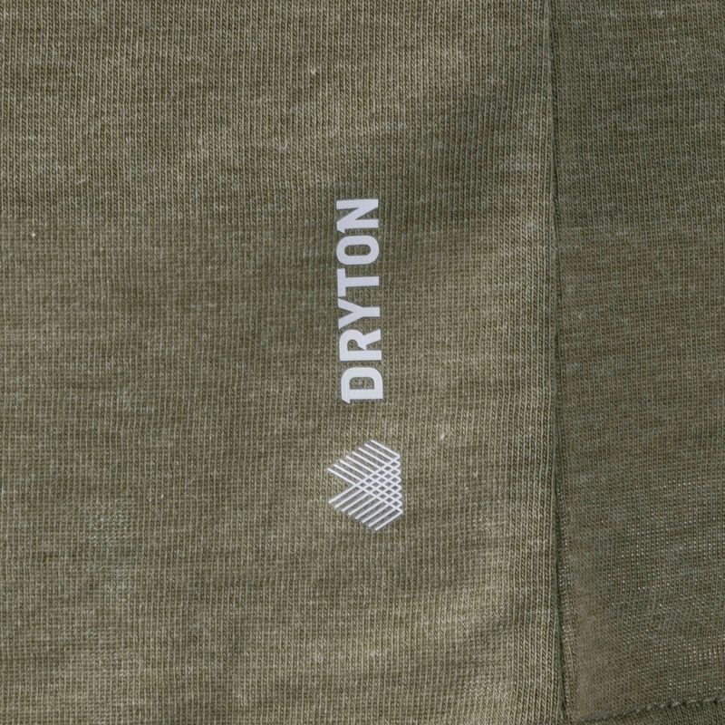 Pánské trekové tričko Salewa Solidlogo Dry khaki 00-0000027018 7