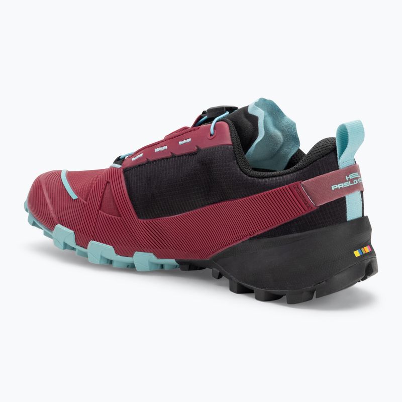 Dámské běžecké boty DYNAFIT Traverse GTX beet red/black out 3