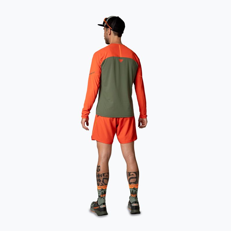 Pánské běžecké tričko longsleeve  DYNAFIT Alpine Pro thyme 3