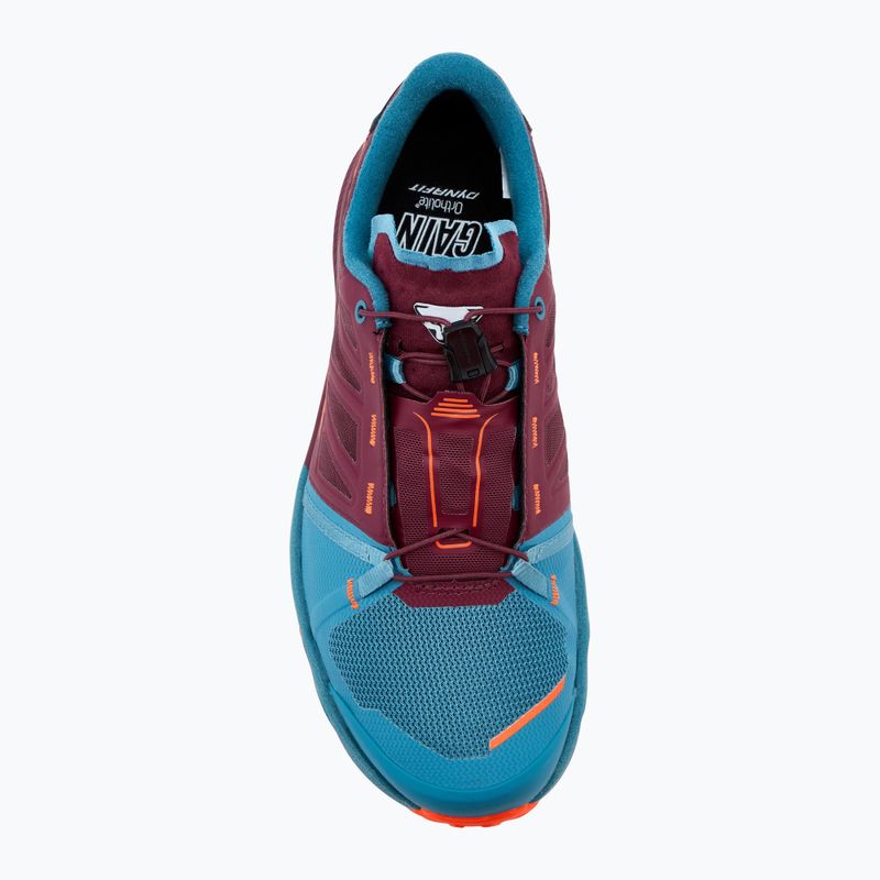 Pánské běžecké boty  DYNAFIT Alpine Pro 2 storm blue/burgundy 5