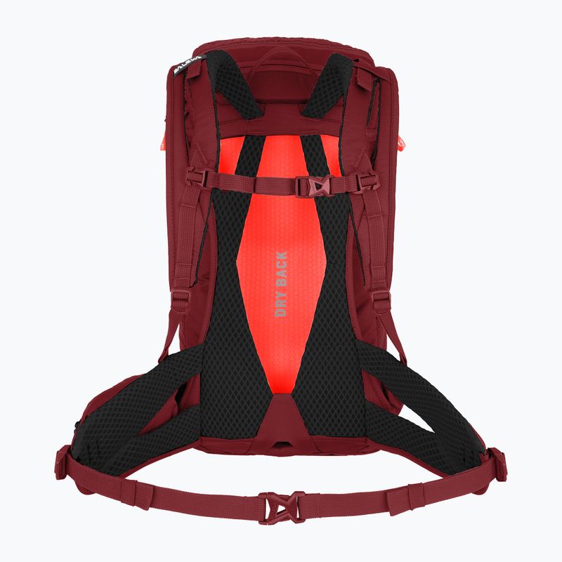 Dámský turistický batoh Salewa Alp Trainer 20 l syrah 2