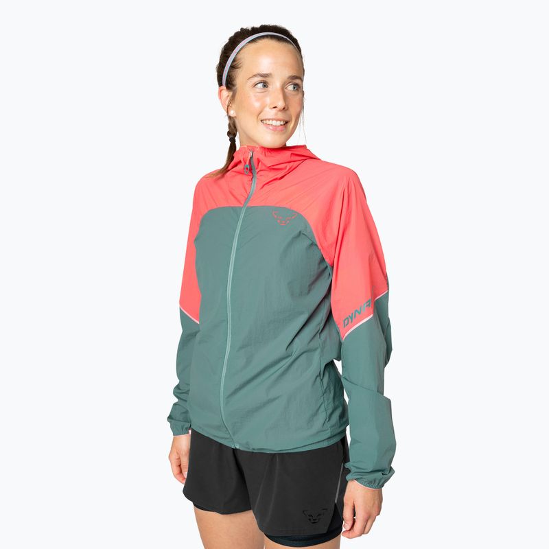 Dámská běžecká bunda DYNAFIT Alpine Wind cabana atlantic 2