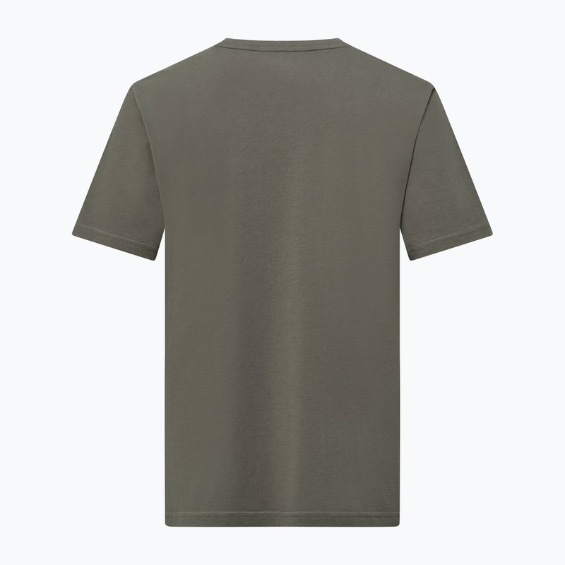 Pánské tričko Salewa Eagle Nature faded green 2