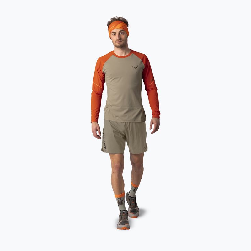 Pánské běžecké triko Longsleeve DYNAFIT Alpine Pro alabama/5490i 2