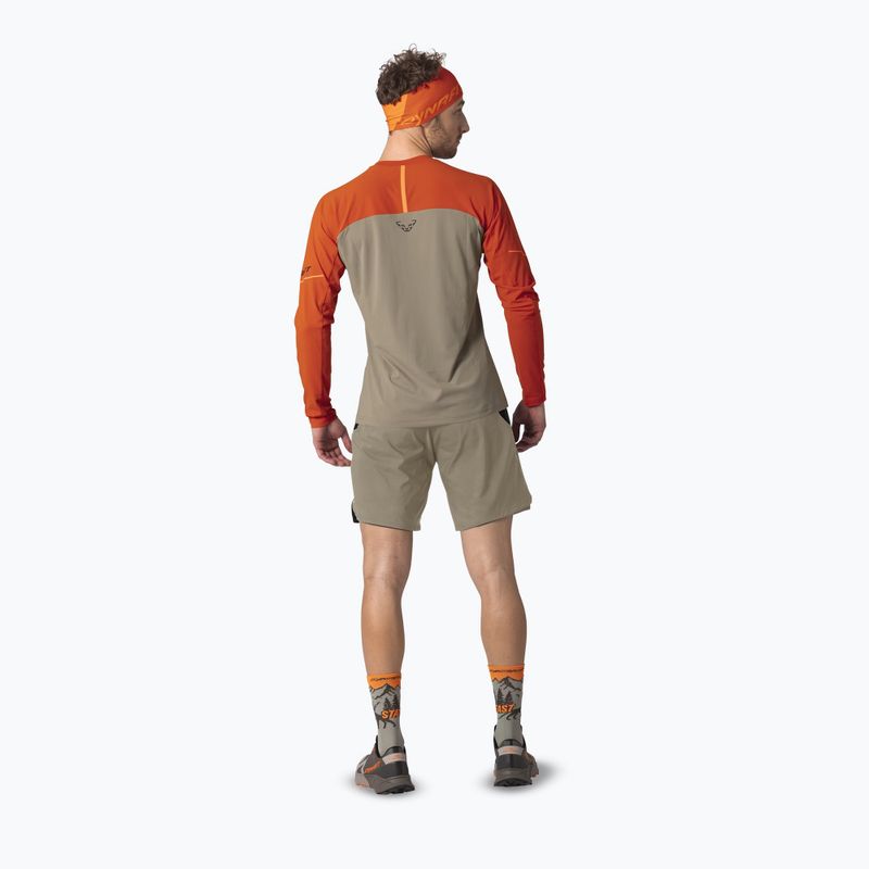Pánské běžecké triko Longsleeve DYNAFIT Alpine Pro alabama/5490i 3