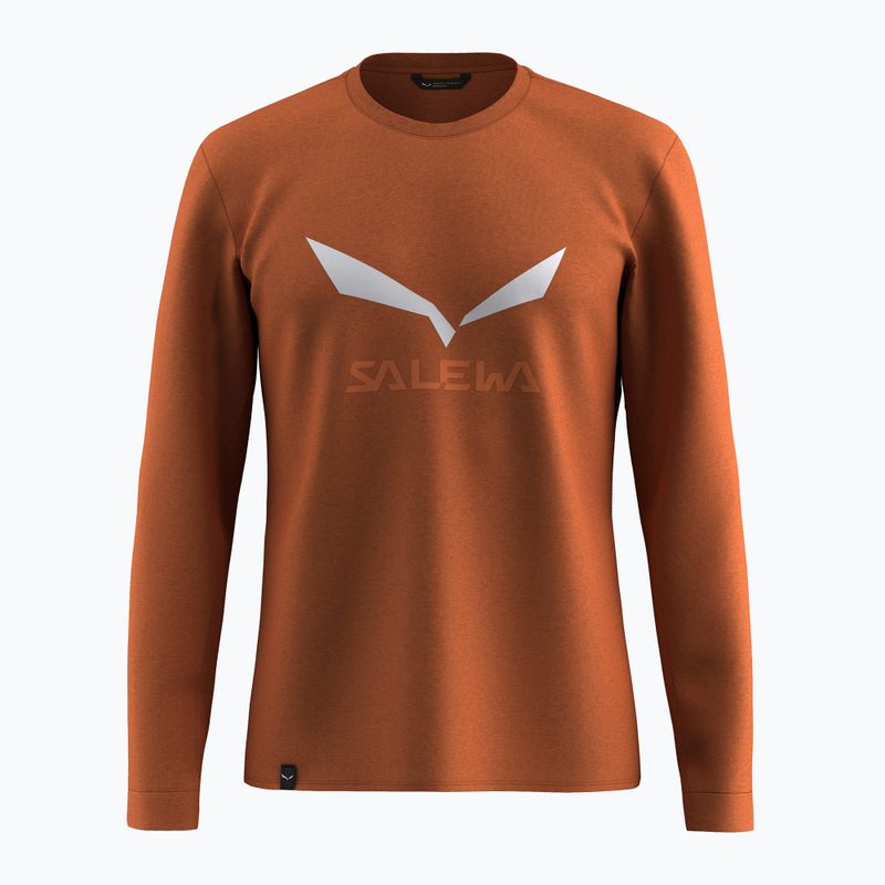 Pánské tričko Longsleeve Salewa Solidlogo Dry bombay brown