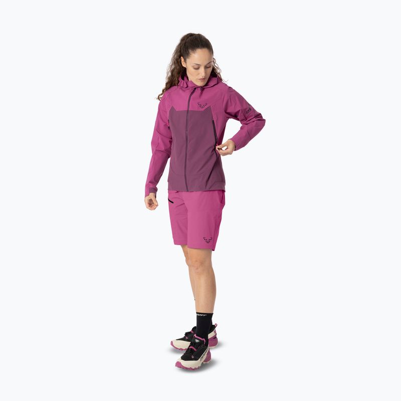 Dámská softshellová bunda DYNAFIT Transalper Dynastretch magenta/6a70 2