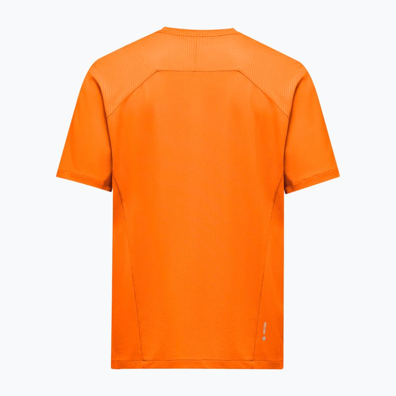 Pánské tričko Salewa Pedroc Dry Light turmeric 2